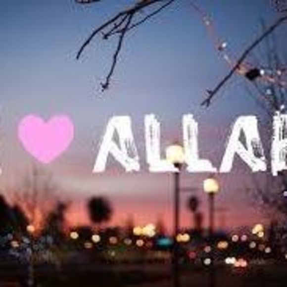 n_saleh